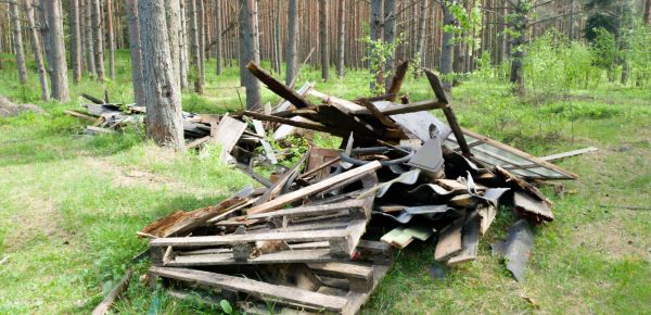 Debris Removal Service in Saint Johns