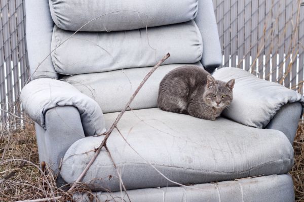 Recliner Disposal in Saint Johns
